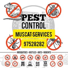 Pest Control service for all over Muscat