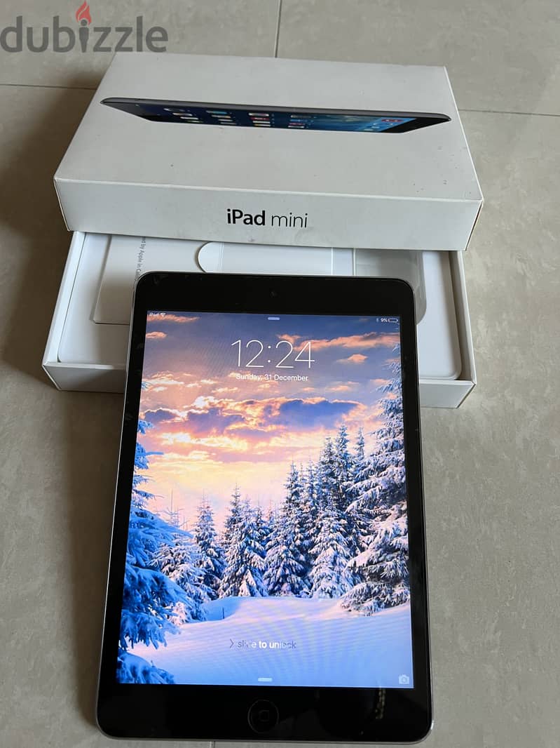 Apple Ipad Mini 0