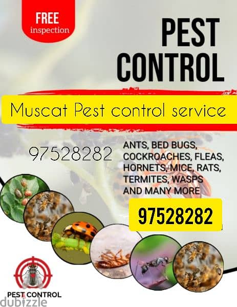 Muscat Pest Treatment Service available anytime 0