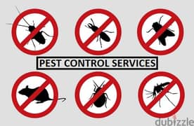 We have Pest Treatment Service Contact anytime of the day