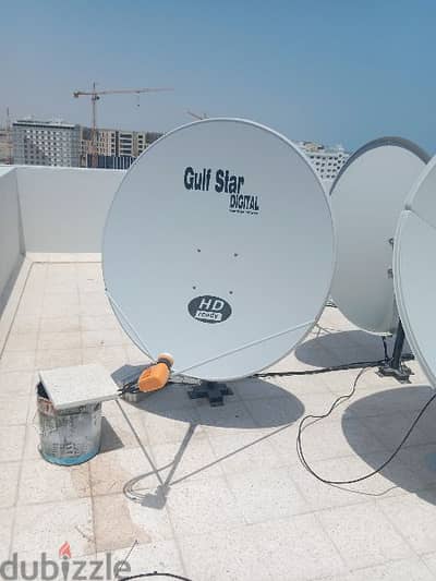 Dish