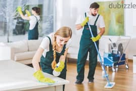 House, villas and offices cleaning services