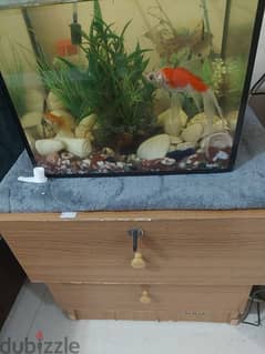 Fish Aquarium  for  sale  with 4 fishes with pump only 10r total