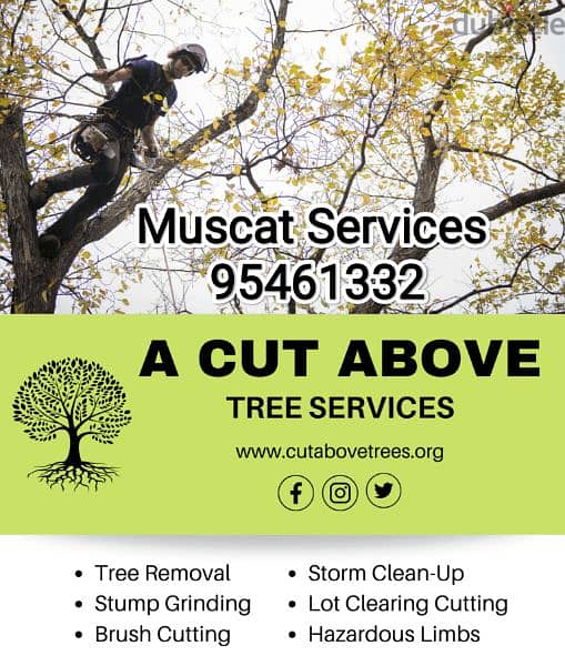 Plants and Tree trimming/Gardening Work Service 0