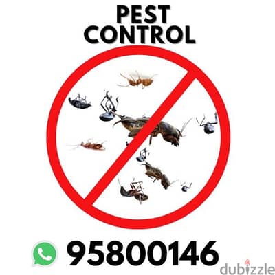 Pest Control services,Insect, Lizards,Cockroaches, Ants