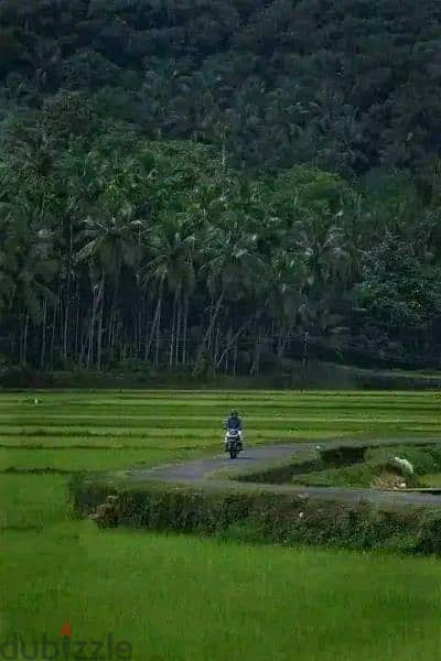 sharing room for Malayalis 0