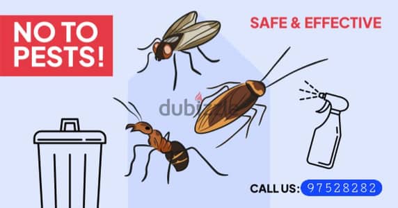 Bedbug's insects Medicine available