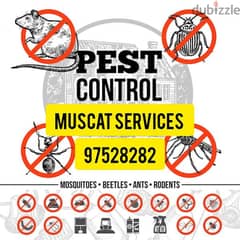 General Pest Treatment Service for all kinds of Insects