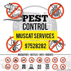 General Pest Control service for Insects