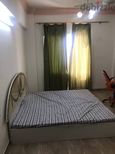 Furnished Room for Indian executive bachelor male or female av 15 apr 5