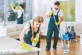 home cleaning services 0
