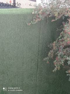 Artificial Grass Ground and Wall