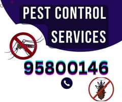 Pest control services, bedbugs insect cockroaches lizard ants 0