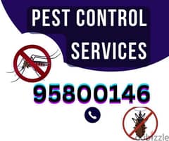 Pest Control services in Muscat, Bedbugs insect cockroaches lizard