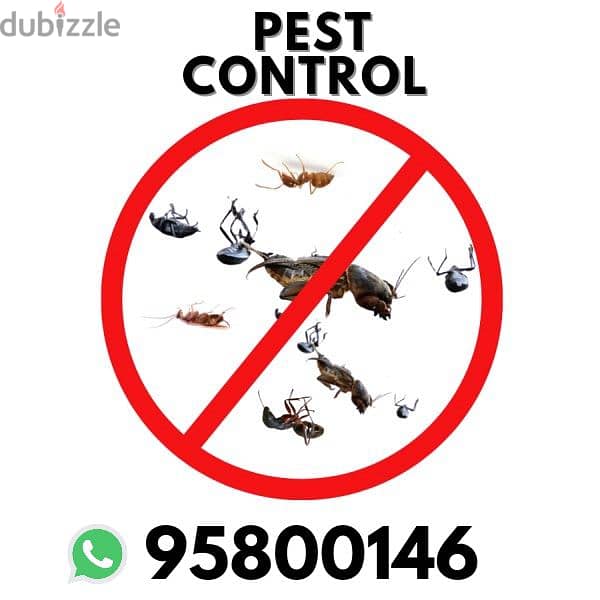 Pest control services, Bedbugs Insect Cockroaches Lizard ants killer 0