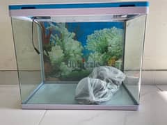 Fish Tank (without fishes) in Excellent Condition