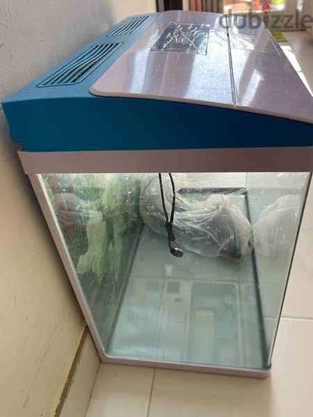 Fish Tank (without fishes) in Excellent Condition 3