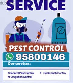 Pest Control services all over Muscat. Bedbugs insect cockroaches Ants