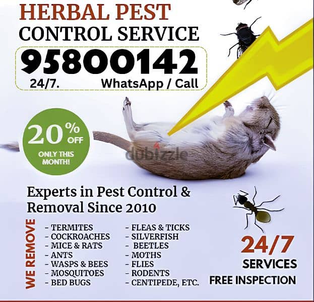 Bedbugs treatment through spraying,Pest control services available 0