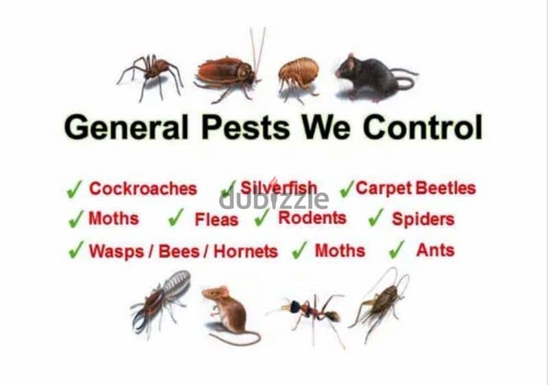Pest Control services, Bedbugs medicine available, Insect Cockroaches 1