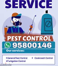 Pest Control services, Bedbugs killer medicine available in Muscat