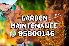Garden maintenance services, Plants Cutting, Tree Trimming,