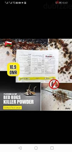 Bedbug's insects cockroaches aunts mosquito medicine available