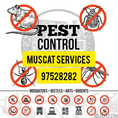 Pest Control service for all kinds of Insects