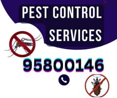 Pest Control services, Bedbugs medicine available Insect cockroaches