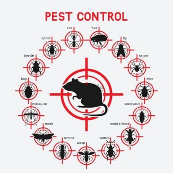 Pest control services available,Bedbugs Lizards Cockroaches insect etc 0