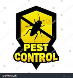Pest Control treatment through Spraying, Bedbugs insects Cockroaches 0