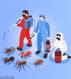 Muscat Pest Control Services, Bedbugs, Insects, Rats, Ants,Lizards etc