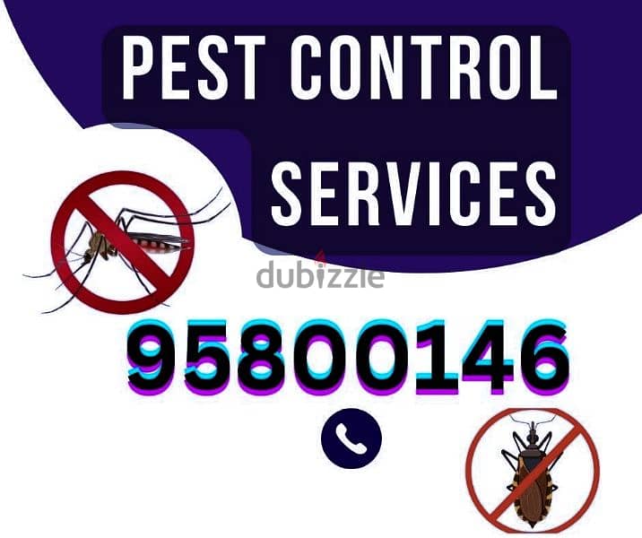 Pest Control services in Muscat, Bedbugs Insects Cockroaches Lizard 0