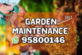 Garden maintenance/Cleaning,Tree Trimming, Plants Cutting,Soil