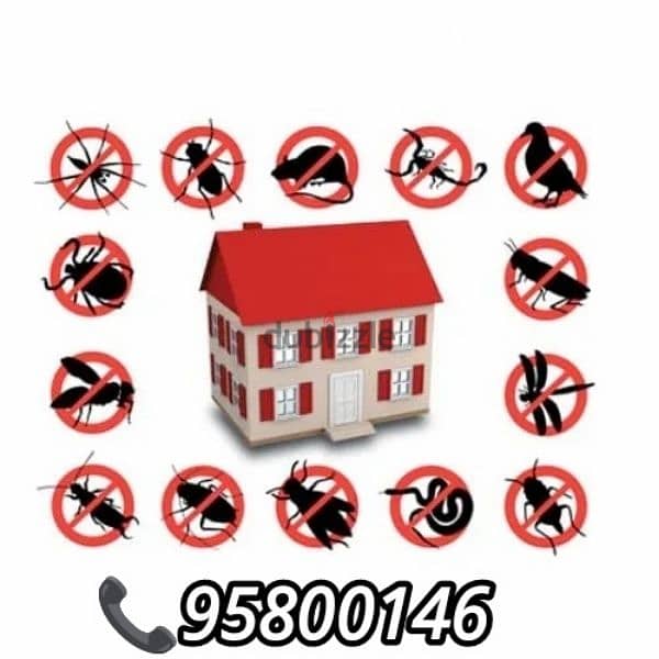 Pest Control services all over Muscat, Bedbugs treatment available, 0