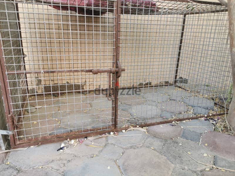Chicken, Pet Cage for Sale 2