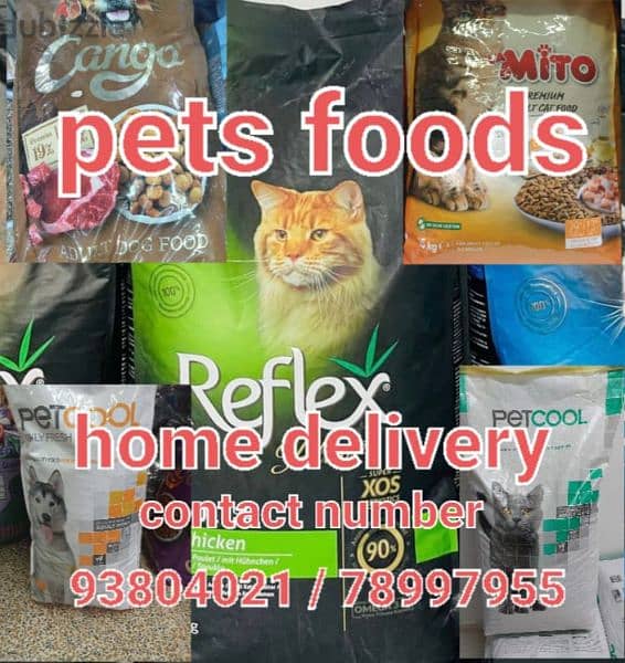 pets foods home delivery. Cats 128838900