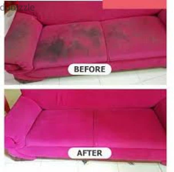 professional Sofa cleaning services 0