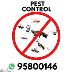 Pest Control services all Muscat, Bedbugs Insect Cockroaches Lizard 0