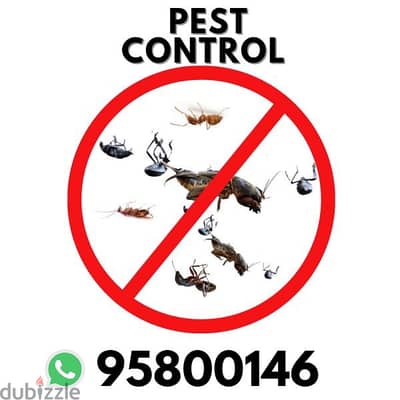 Pest Control all Muscat, Bedbugs Insect Cockroaches Lizard