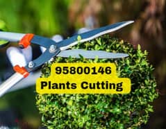 Plants Cutting, Artificial grass, Tree Trimming, Cleaning,Soil, Pots, 0