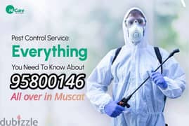 Best Pest Control Services in Muscat, Bedbugs Insect Cockroaches