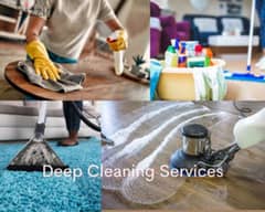 house and apartment. sofa Carpet Deep cleaning services