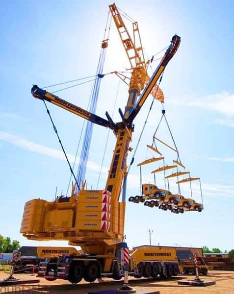 Rental of cranes from 25 ton to 250 ton pdo and oxy approved 0