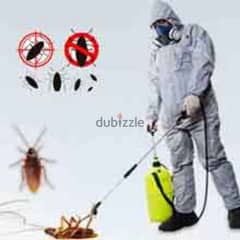 Pest Control treatment through Spraying, Bedbugs insects Cockroaches