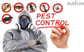 Pest Control treatment through Spraying, Bedbugs insects Cockroaches