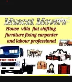 house shifting, carpenter, packing, rapping services