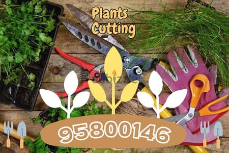 Plants Cutting, Tree Trimming, Artificial grass,Lawn Care