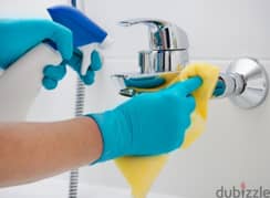 professional cleaning services 0
