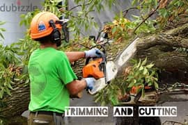 We do all kinds of Gardening work Cleaning Cutting Maintenance service